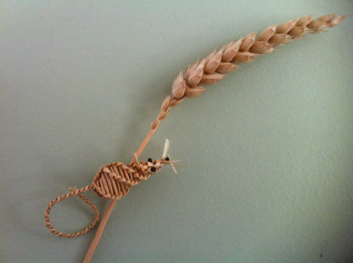 corn mouse-w500-h500