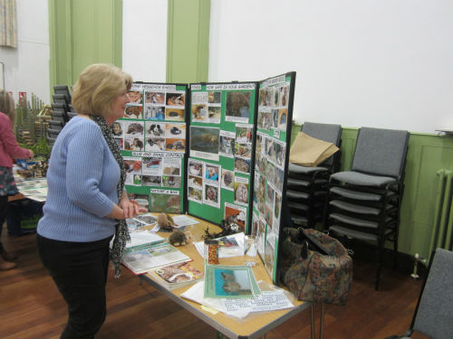 Hedgehog rescue (1)-w500-h500