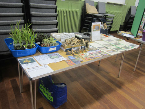 Hedgehog rescue (3)-w500-h500