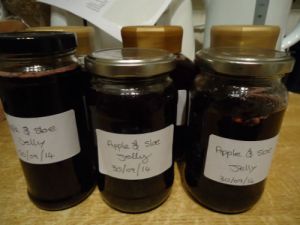 Sloe jelly (1)-w500-h500