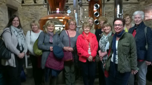 gin tour 1-w500-h500