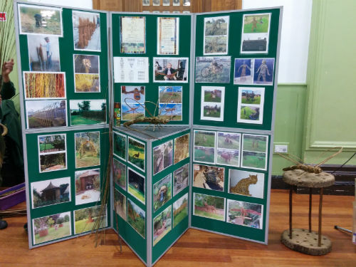 Rutland Willow (4)-w500-h500