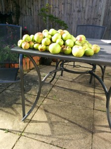 1442586858693-1776991585