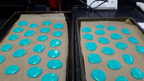 14333647_573500366189926_9197339743641939981_n-w500-h500