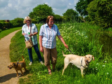 Walk - 03-06-2018 - dogs