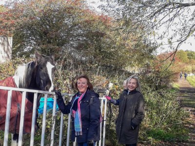 Walk 28 Oct 2018 Wistow2