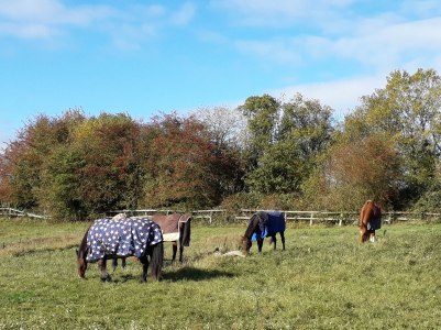 Walk 28 Oct 2018 Wistow3
