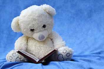 white teddy bear reading book