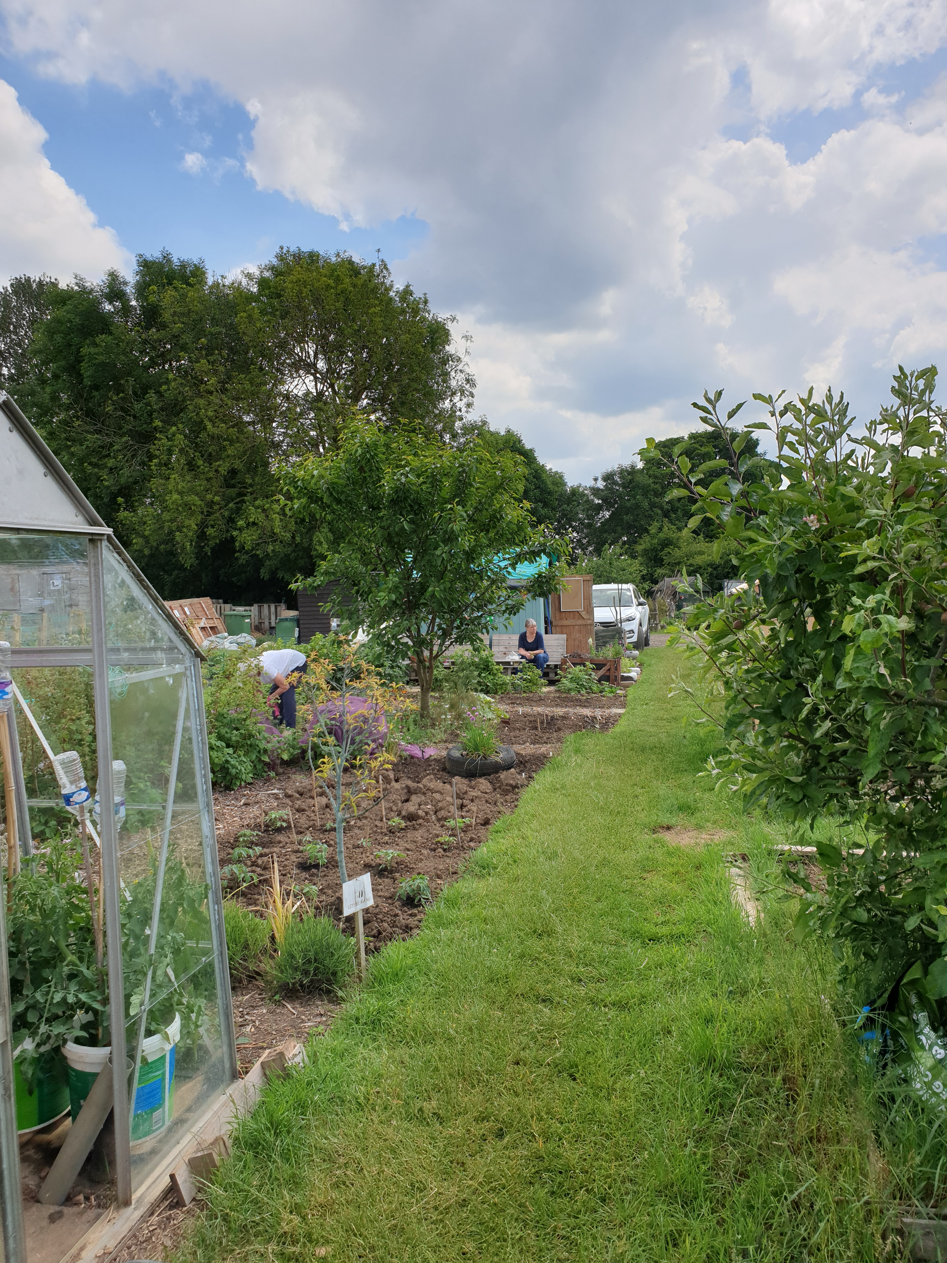 Allotment in June