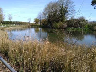 Walking Club Start in Hallaton